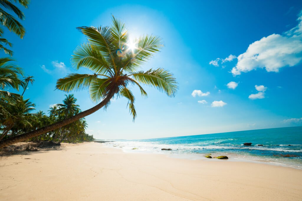 1238 tropical beach in sri lanka